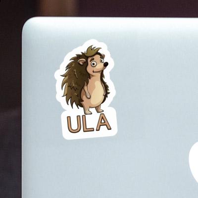 Sticker Ula Hedgehog Image