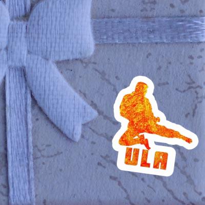 Aufkleber Karateka Ula Gift package Image