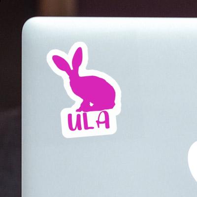 Sticker Ula Rabbit Notebook Image