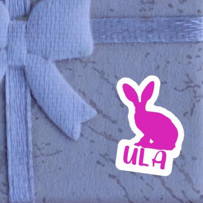 Sticker Ula Rabbit Image