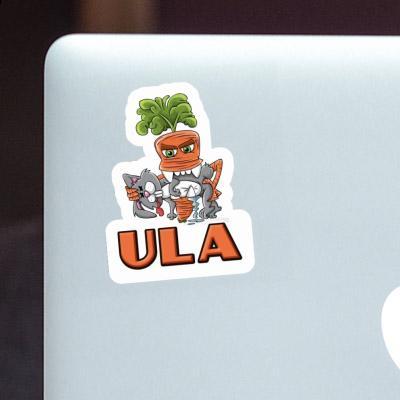 Sticker Ula Monster-Karotte Laptop Image