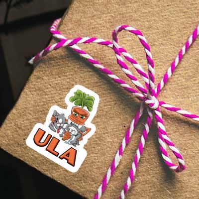 Ula Sticker Monster Carrot Notebook Image