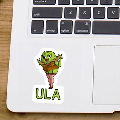 Kiwi Sticker Ula Gift package Image