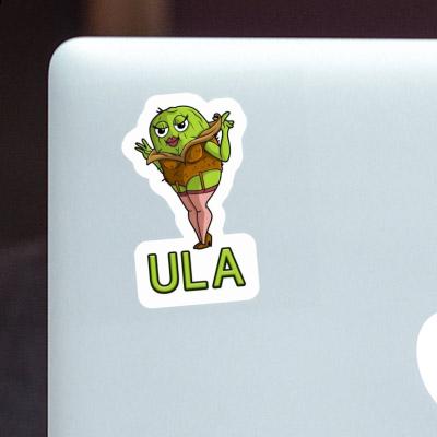 Sticker Kiwi Ula Image