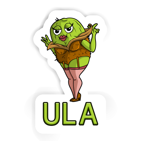 Kiwi Sticker Ula Notebook Image