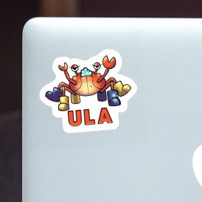 Sticker Ula Crab Notebook Image