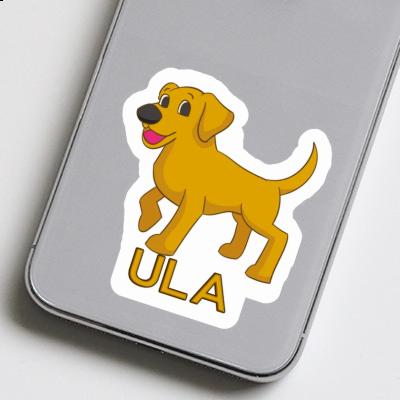 Sticker Labrador Ula Gift package Image