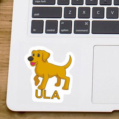 Sticker Labrador Ula Gift package Image