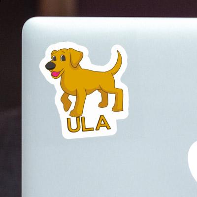 Sticker Labrador Ula Laptop Image