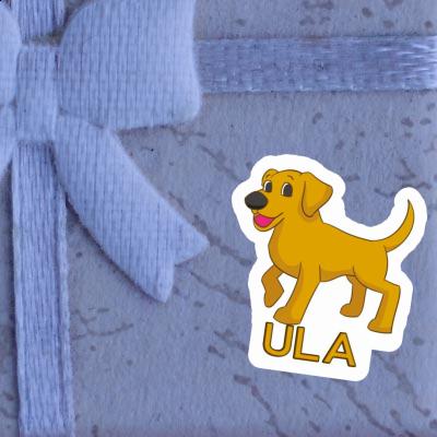 Sticker Labrador Ula Notebook Image