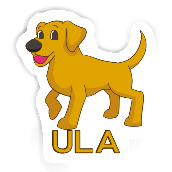 Sticker Labrador Ula Gift package Image