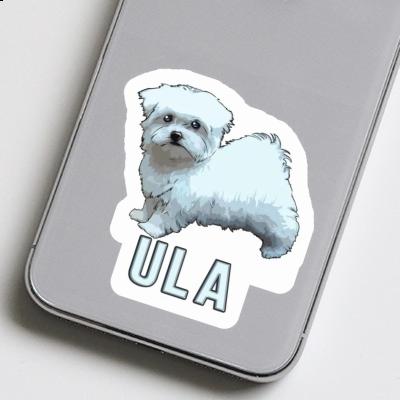 Hündchen Sticker Ula Notebook Image