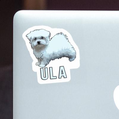 Sticker Doggie Ula Image