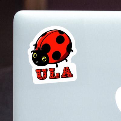 Sticker Ladybug Ula Laptop Image