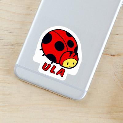 Ladybug Sticker Ula Laptop Image