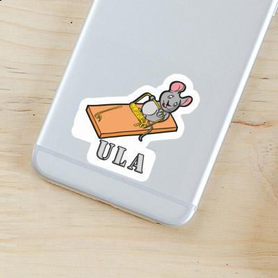 Sticker Mouse Ula Gift package Image