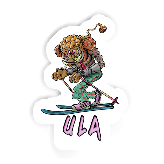 Sticker Skier Ula Notebook Image