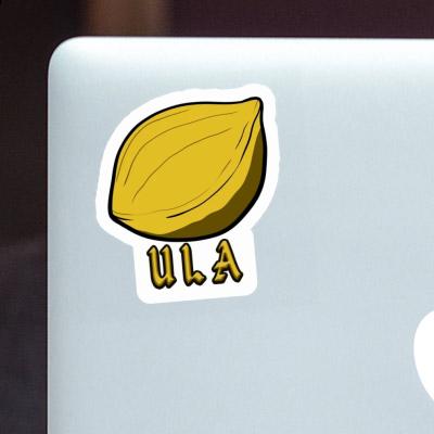 Ula Sticker Nuss Notebook Image