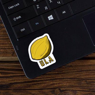 Ula Sticker Nut Laptop Image