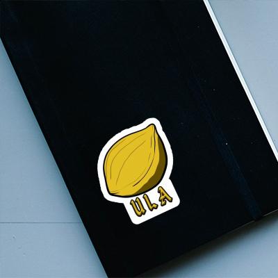 Ula Sticker Nut Laptop Image