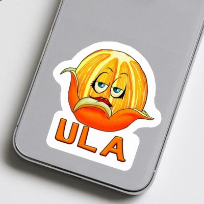 Orange Sticker Ula Gift package Image