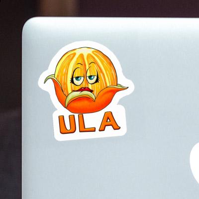 Orange Sticker Ula Gift package Image