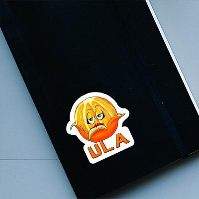 Orange Sticker Ula Laptop Image