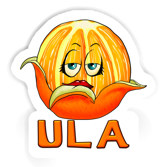 Orange Sticker Ula Notebook Image