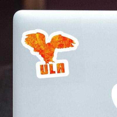 Sticker Eule Ula Laptop Image