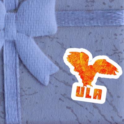 Owl Sticker Ula Laptop Image