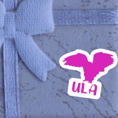 Sticker Ula Owl Image