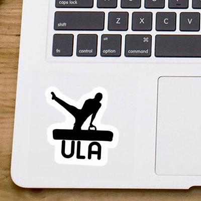 Ula Sticker Gymnast Notebook Image