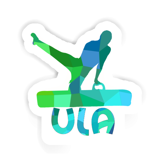 Gymnast Sticker Ula Gift package Image