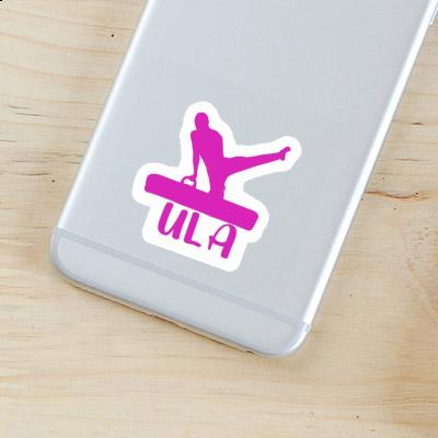 Gymnast Sticker Ula Gift package Image