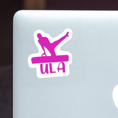 Gymnast Sticker Ula Gift package Image