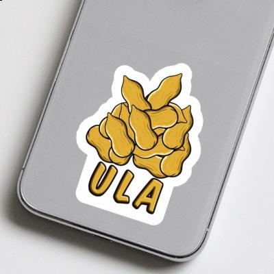 Sticker Ula Peanut Gift package Image