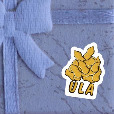 Sticker Ula Peanut Image