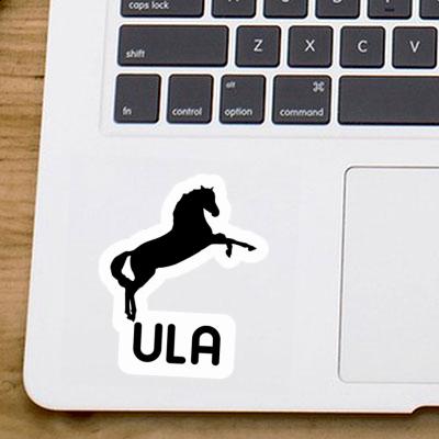 Sticker Ula Horse Image