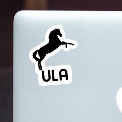 Sticker Ula Horse Gift package Image