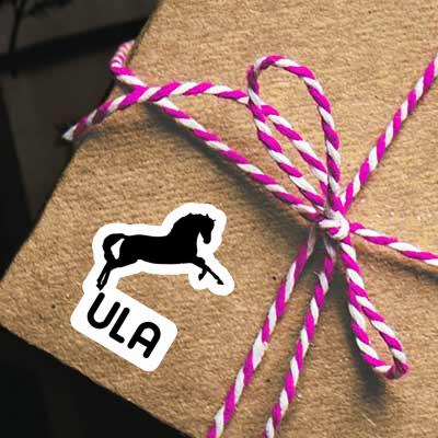 Sticker Ula Horse Laptop Image