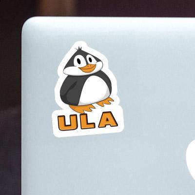 Fat Penguin Sticker Ula Gift package Image