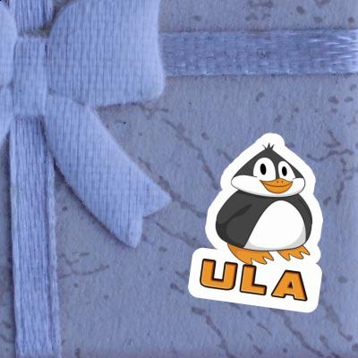 Fat Penguin Sticker Ula Notebook Image