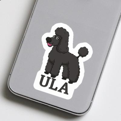 Sticker Ula Pudel Gift package Image