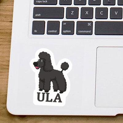 Sticker Ula Pudel Image