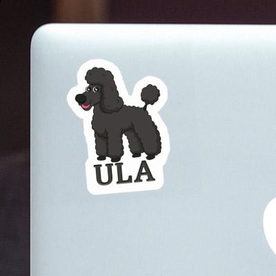 Sticker Poodle Ula Image