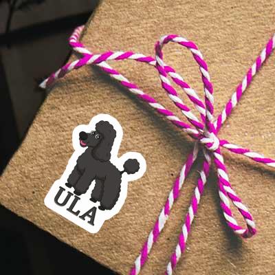 Sticker Poodle Ula Gift package Image