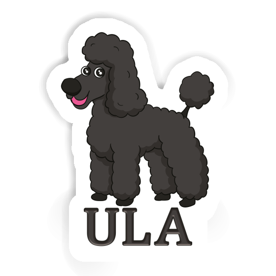 Sticker Poodle Ula Gift package Image