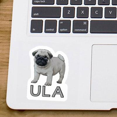 Sticker Ula Pug Gift package Image