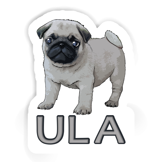 Sticker Ula Pug Gift package Image