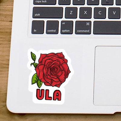 Ula Autocollant Rose Gift package Image